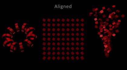 3Rep_Alignment2